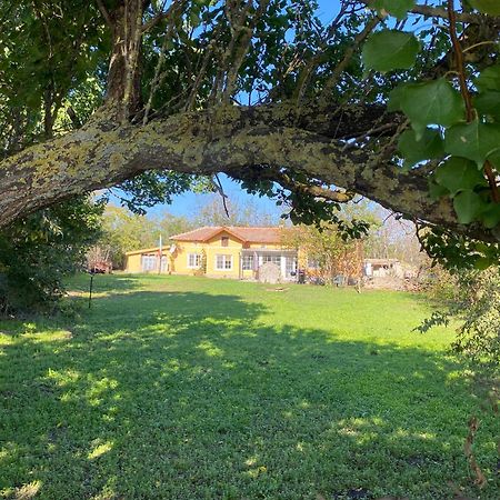 Ferienhaus Primorska Sunshine In Strandnaehe Shabla Buitenkant foto