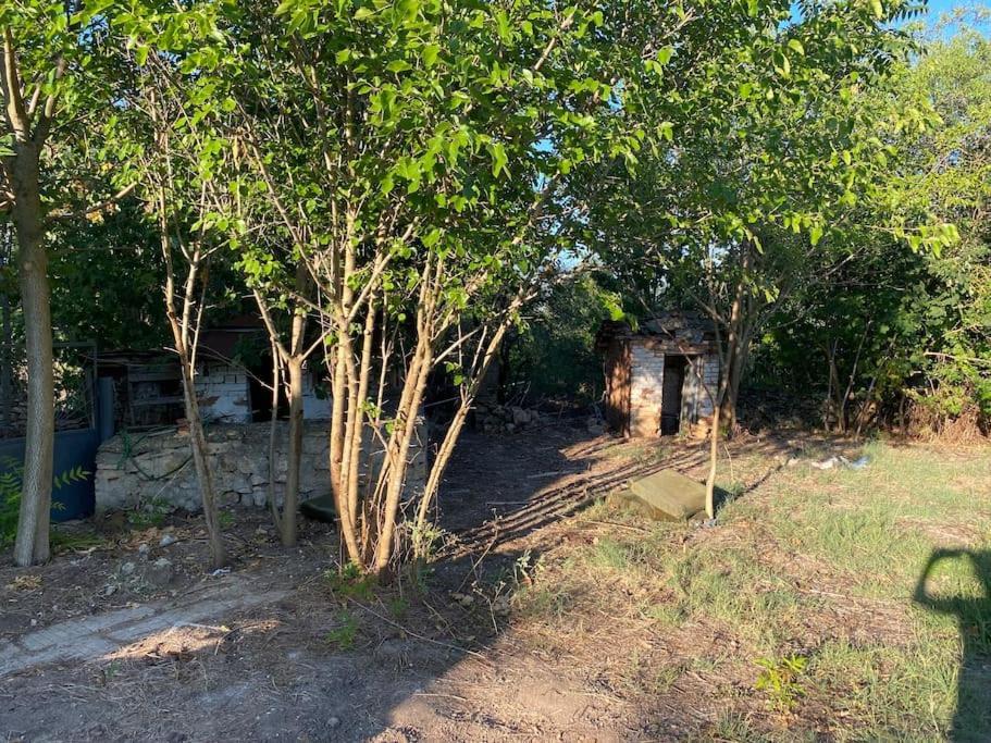 Ferienhaus Primorska Sunshine In Strandnaehe Shabla Buitenkant foto