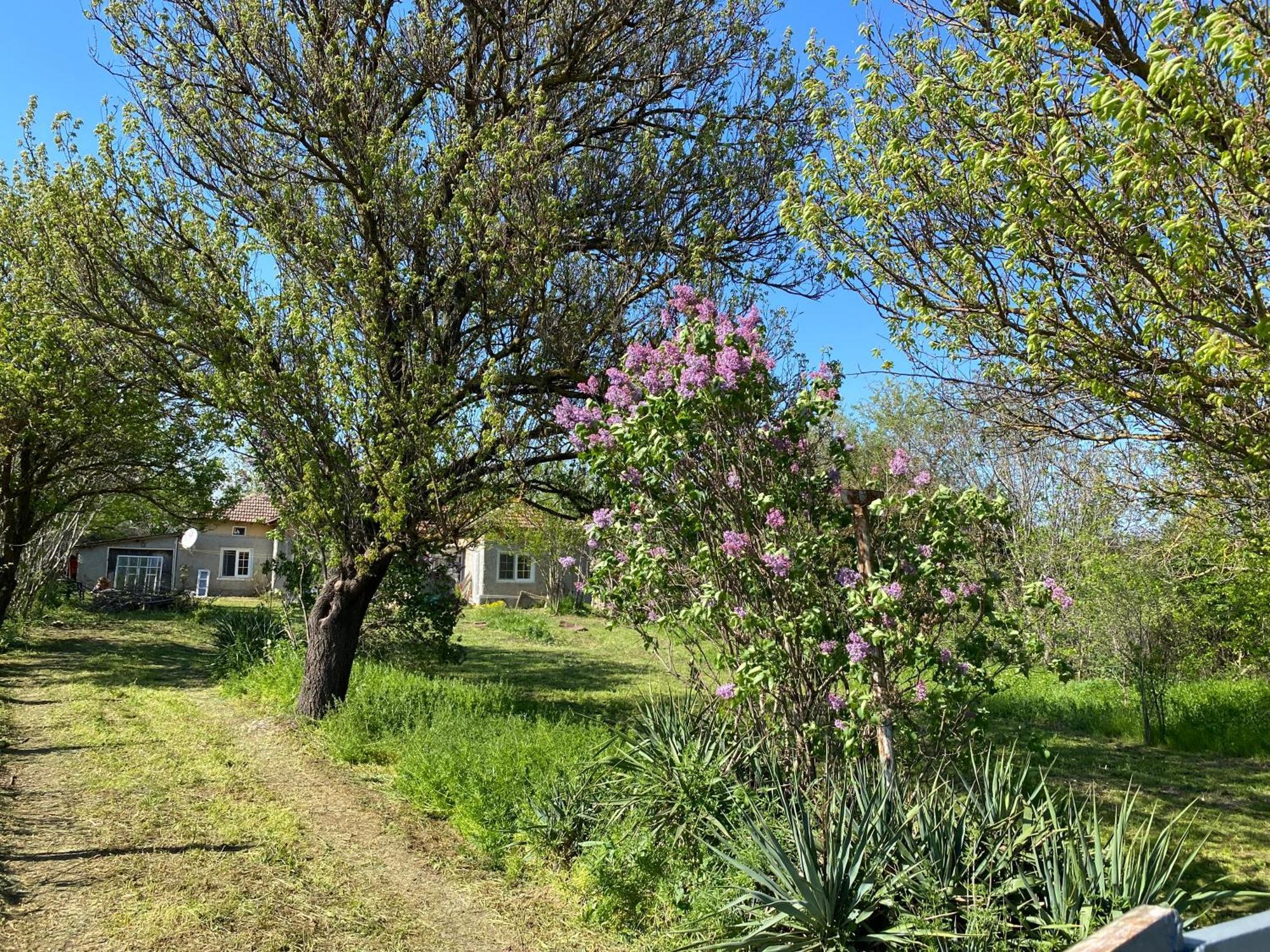 Ferienhaus Primorska Sunshine In Strandnaehe Shabla Buitenkant foto