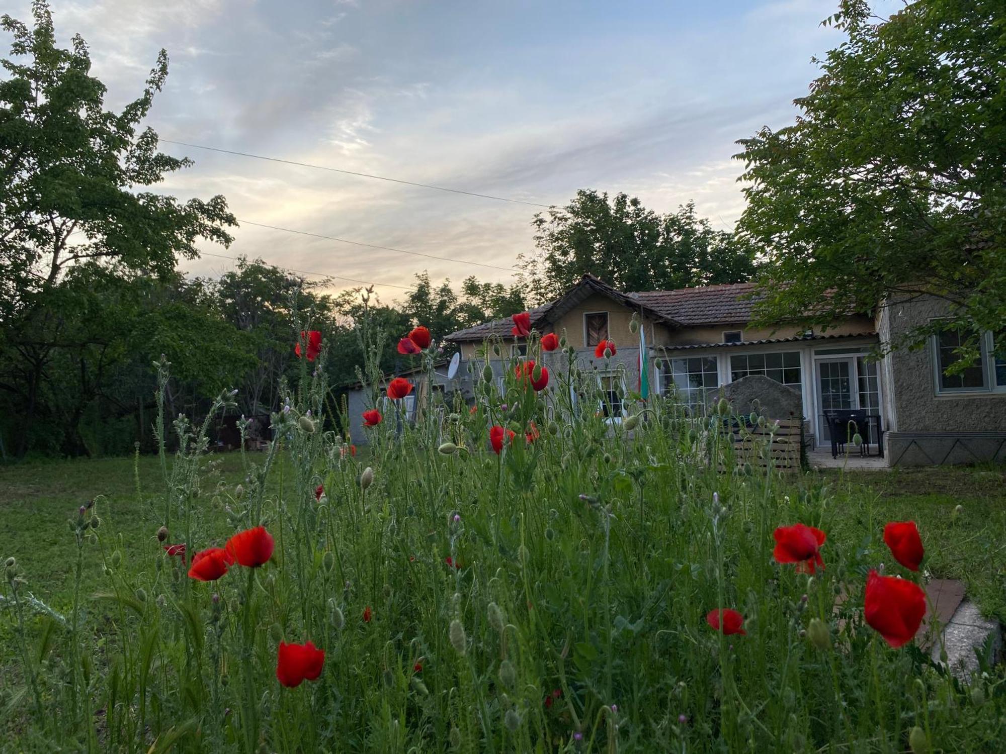 Ferienhaus Primorska Sunshine In Strandnaehe Shabla Buitenkant foto